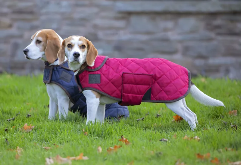 Digby and Fox Heritage Quilted Dog Coat in Red-1